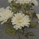 MINI MUM BUSH X9 WHITE