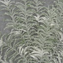 29" FROSTED PINE BUSH x11