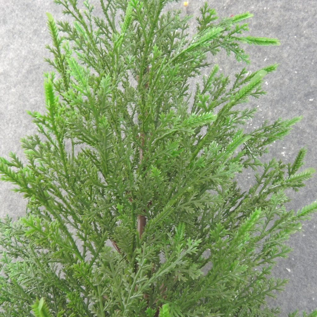 23" CEDAR PINE BUSH (9 LEVELS)