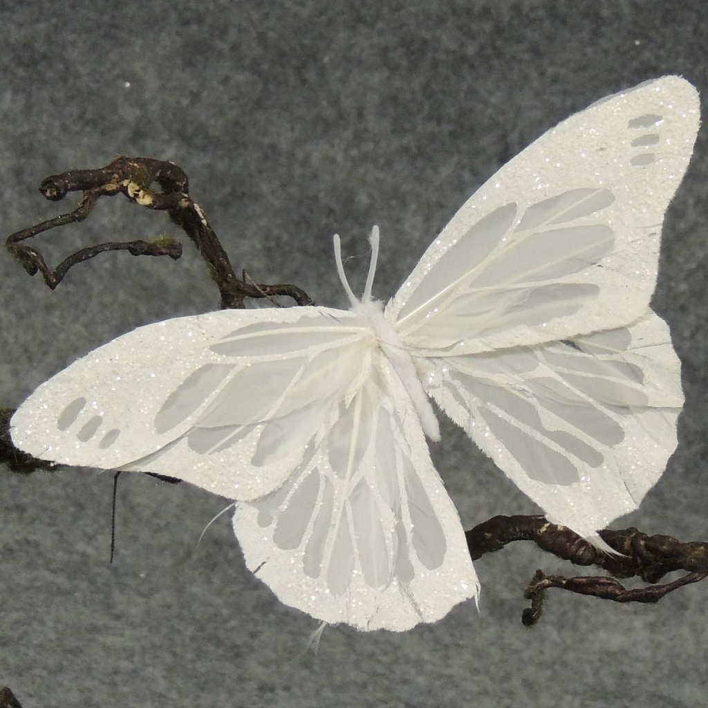 6&quot; WHITE BUTTERFLY W/MICA 6/BOX