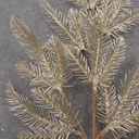 27&quot; GOLD PINE SPRAY