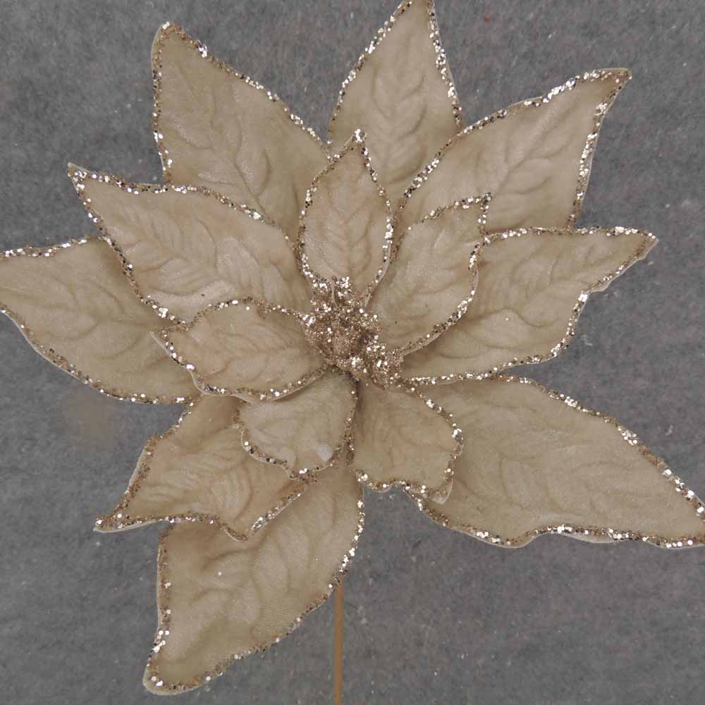 20" CHAMPAGNE POINSETTIA PICK W/GLITTER