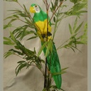 20" GREEN PARROT