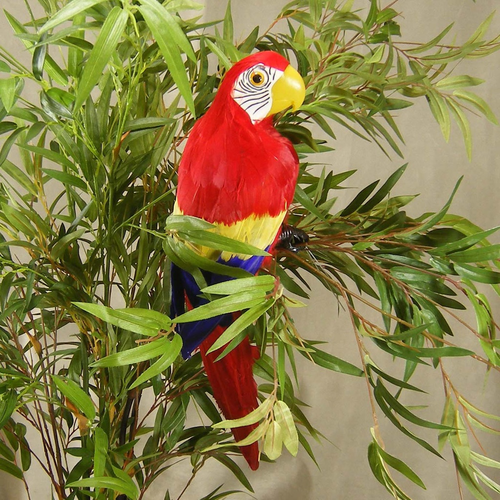 20" RED PARROT