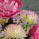 PEONY/MUM MIXED BUSH X12  PINK