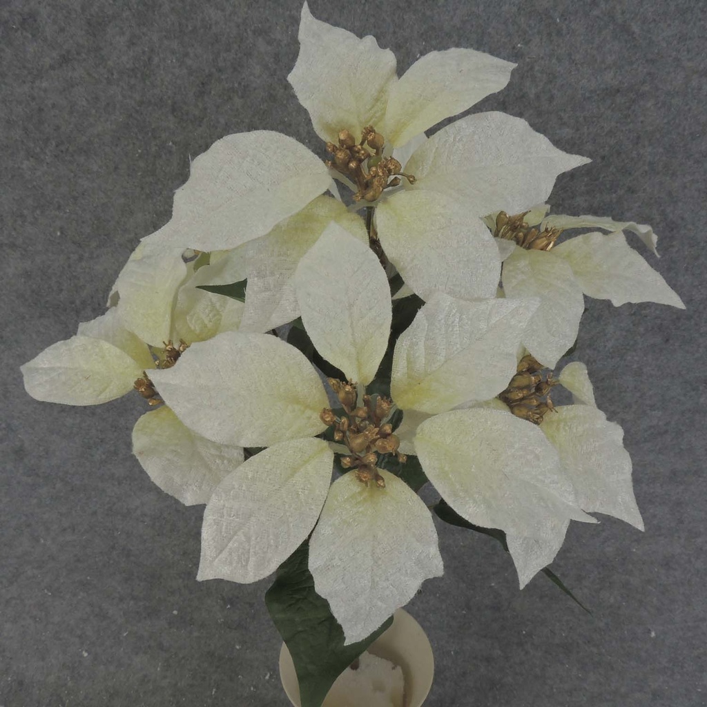 POINSETTIA BUSH X7 17"