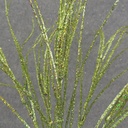 GREEN GLITTER GRASS BUSH X6