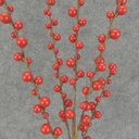 BERRY SPRAY X5 27" O.D. RED