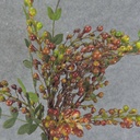 BERRY SPRAY 20&quot; HANGING BERRY  RED/GREEN