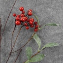 BERRY SPRAY W/LEAVES 33&quot; RED