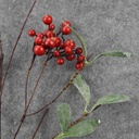 BERRY SPRAY W/LEAVES 33" RED