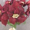 POINSETTIA BUSH NON-BLEED X5 BURGUNDY