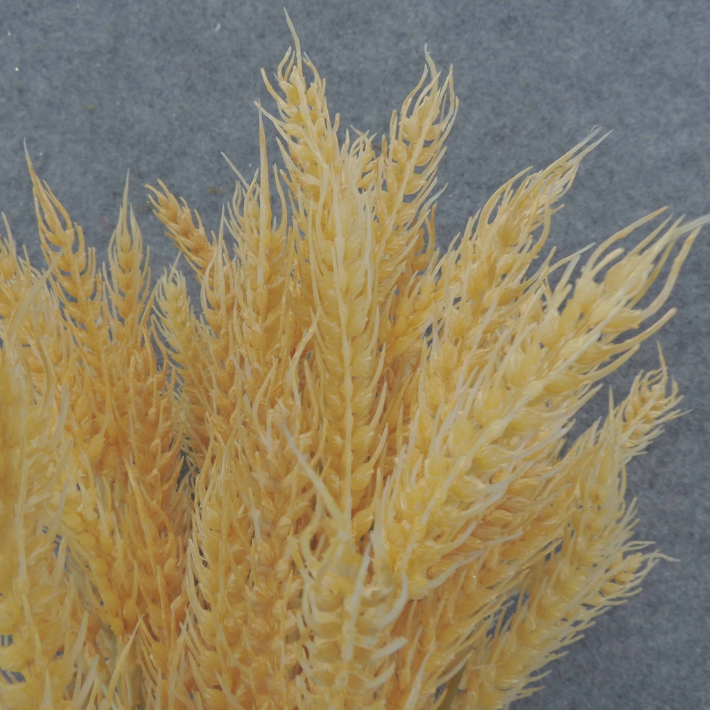 WHEAT BUNDLE X14 16" PLASTIC   