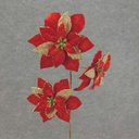 21" POINSETTIA SPRAY X3 BURLAP/VELV  RED