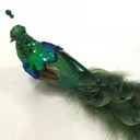 16" SEQUENCE PEACOCK W/FEATHER TAIL