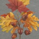ACORN/LEAF/BERRY PICK  12&quot;