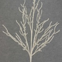 BRANCH SPRAY W/FUZZY SNOW 32" X5