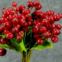 BERRY BUNDLE X8 11&quot;  RED