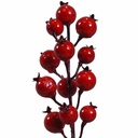 BERRY PICK 8&quot; RED (1 DZ/BAG)