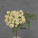 BERRY PICK W/ICE &amp; LEAVES 11&quot;  CREAM