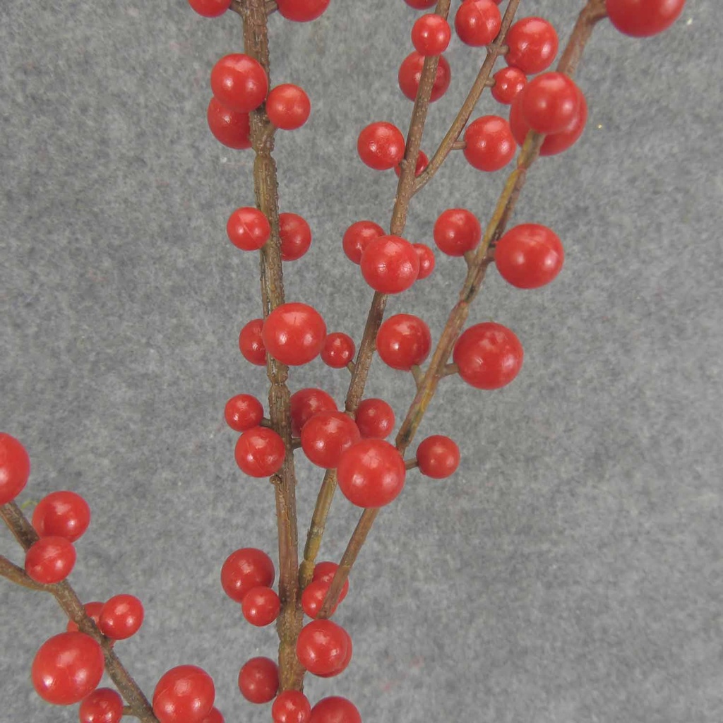BERRY SPRAY X2 (7) 37" O.D. PLASTIC