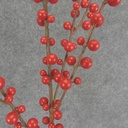 BERRY SPRAY X2 (7) 37" O.D. PLASTIC
