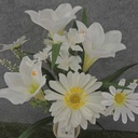 20" LILY & DAISY BUSH X10 WHITE