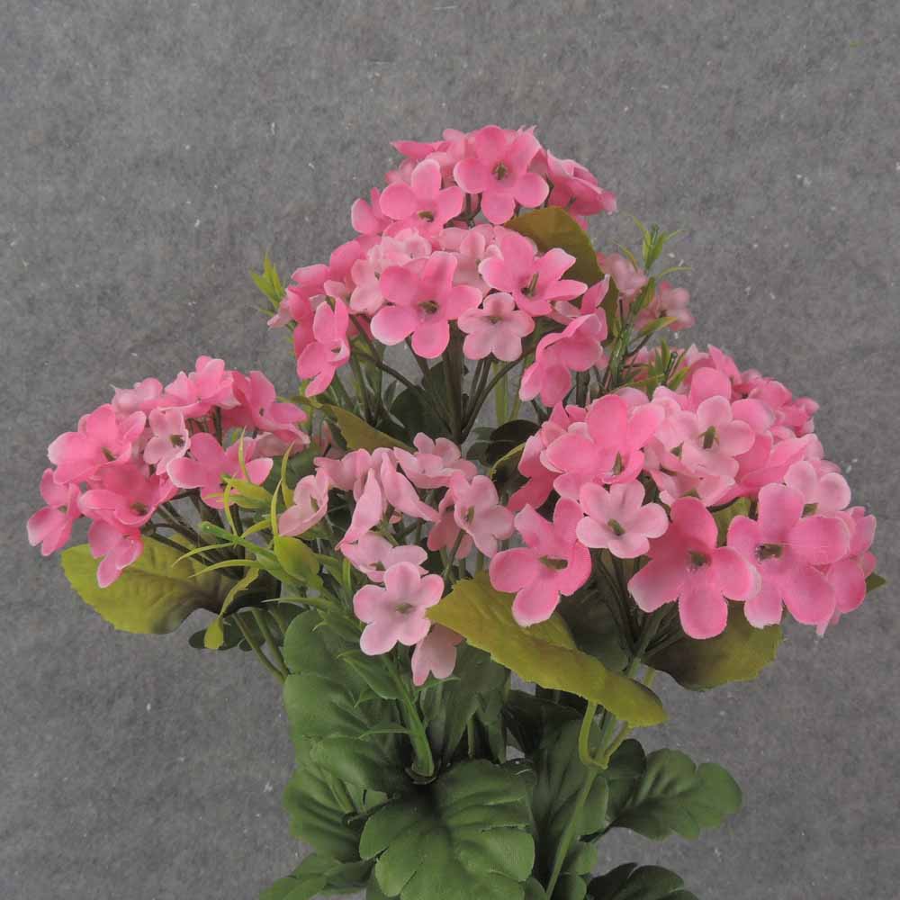 17" WAXFLOWER BUSH X10 PINK