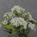 17" WAXFLOWER BUSH X10 WHITE