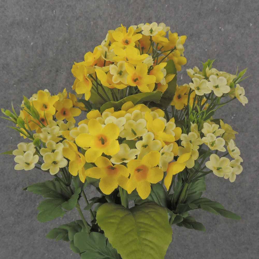 17" WAXFLOWER BUSH X10 YELLOW