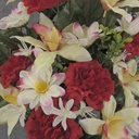 24" CABBAGE ROSE & ORCHID HALF BUSH X18 RED/CREAM/GREEN