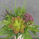 14" SUCCULENT, FERN & GRASS WRAPPED BUSH BURGUNDY/GREEN