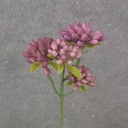 11.5" SEDUM STEM X5 BURGUNDY