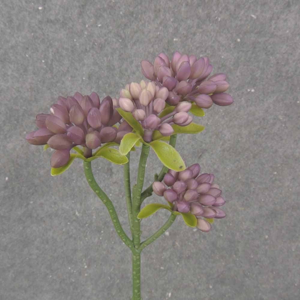 11.5" SEDUM STEM X5 LAVENDER