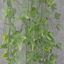 48" HANGING IVY BUSH X5 GREEN (PLASTIC)