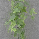 6' IVY GARLAND GREEN (PLASTIC)