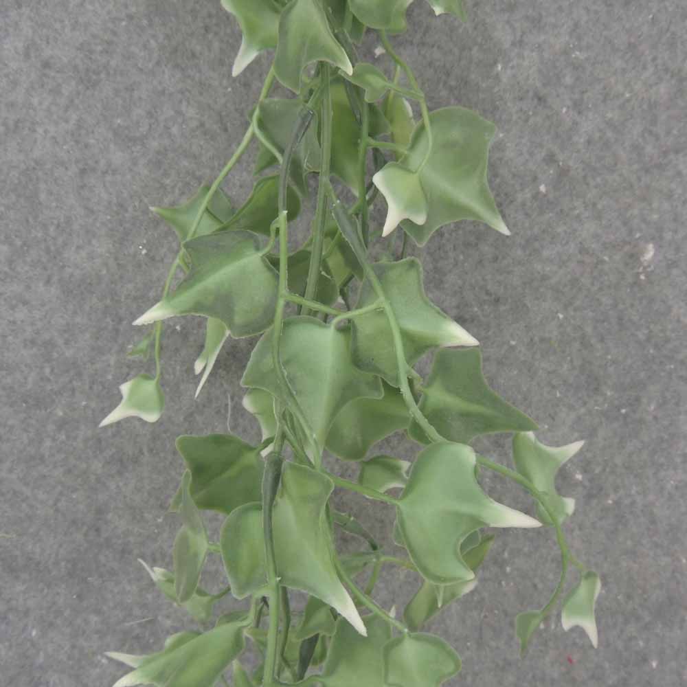 6' IVY GARLAND VARIGATED (PLASTIC)