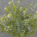 22" EUCALYPTUS, THISTLE & FOLIAGE BUSH CREAM