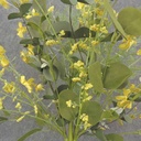 21&quot; EUCALYPTUS, FERN &amp; BLOSSOM BUSH YELLOW