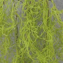 34&quot; HANGING SPANISH MOSS BUSH X5 GREEN