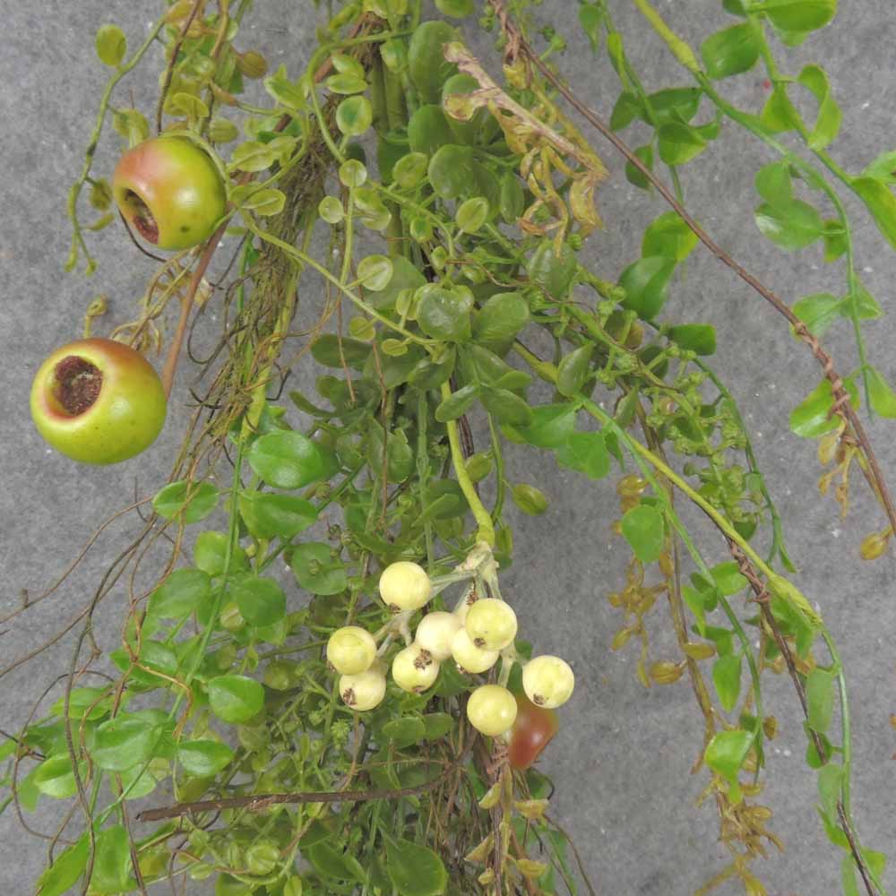 4' BERRY & MIXED FOLIAGE GARLAND CREAM/GREEN