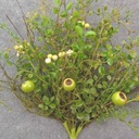 23" BERRY & MIXED FOLIAGE BUSH CREAM/GREEN