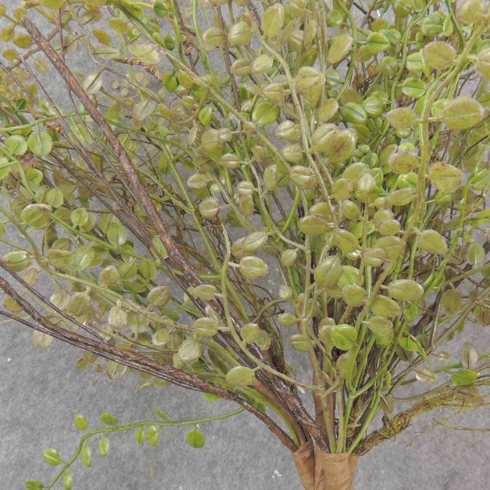24&quot; BUTTON FERN &amp; TWIG BUSH