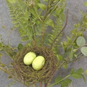 31&quot; MIXED FOLIAGE BUSH W/NEST &amp; EGGS