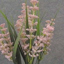 11" HEATHER GRASS BUSH X5 PINK