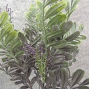 14" HONEY LOCUST LEAF BUSH X7 PURPLE/GREEN