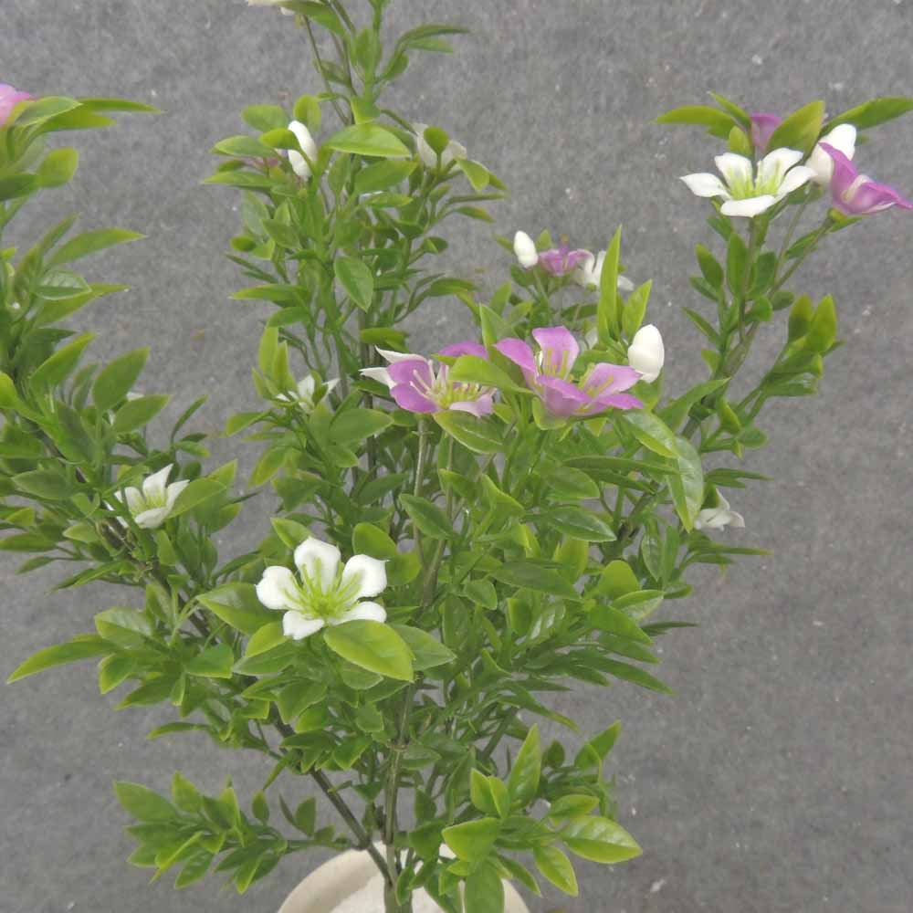 14.5" TEALEAF BUSH W/ BLOSSOMS X7 PURPLE/WHITE