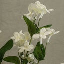 24.5&quot; WHITE STEPHANOTIS SPRAY X3 (3/BUNDLE)