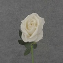 20" OPEN ROSE STEM CREAM/WHITE