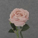 20" OPEN ROSE STEM PINK